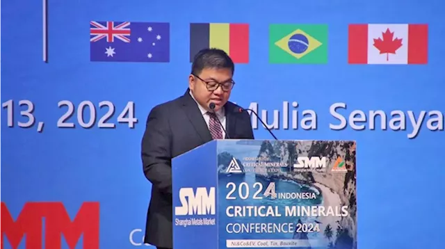 PH woos Indonesian companies to invest in critical minerals sector