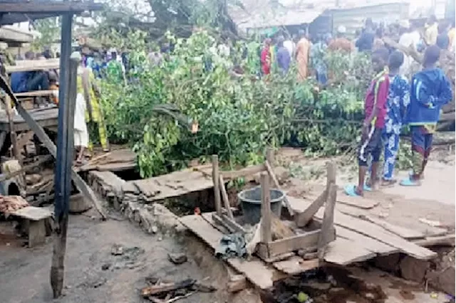 Trees kill four at Jattu market during rainfall in Edo