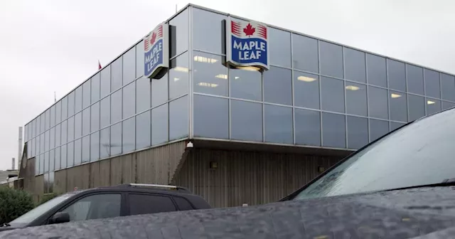 Maple Leaf Foods to spin off pork business into new public company