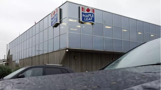 Maple Leaf Foods to spin off pork business into new company