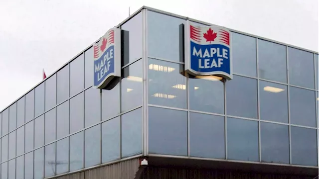 Maple Leaf Foods to spin off pork business into new public company