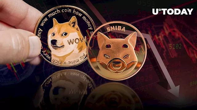 Shiba Inu (SHIB) and Dogecoin (DOGE) Among Top Crypto Laggards as Market Sees Severe Downturn