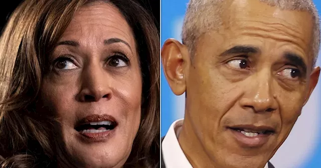 Fox Business Guest Accuses Media Of Trying To ‘Sell’ Kamala Harris As ‘Obama In A Skirt’