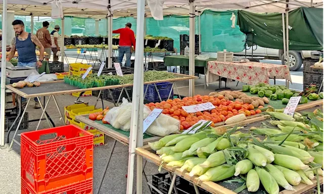 Cupertino farmers market at De Anza College gets new operator