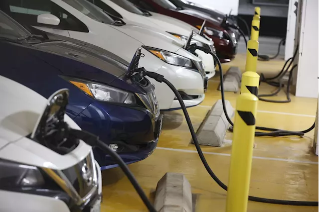 Overcapacity and 'alarming' price trends present speed bumps for Canada's battery industry as EV enthusiasm slows