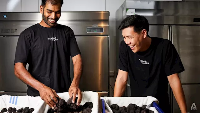 These 2 millennials started their truffle business in their bedrooms; now they supply to Singapore’s top restaurants