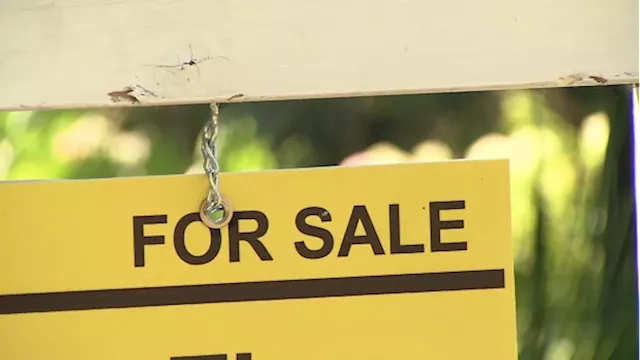 Toronto sees 'sluggish' summer housing market: RBC report