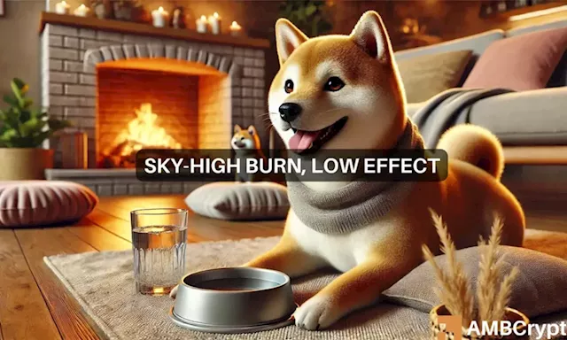 Shiba Inu burn rate peaks: Assessing market impact