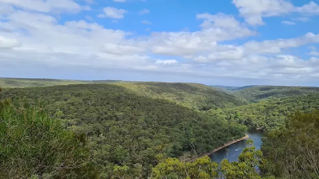 Industry push to earn carbon credits from Australia's native forests would be a blow for nature and the climate