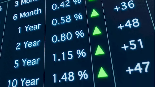 Navigating the bond market ahead of Fed rate cuts