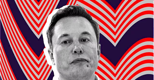 Elon Musk tells Donald Trump ‘we shouldn’t vilify the oil and gas industry’