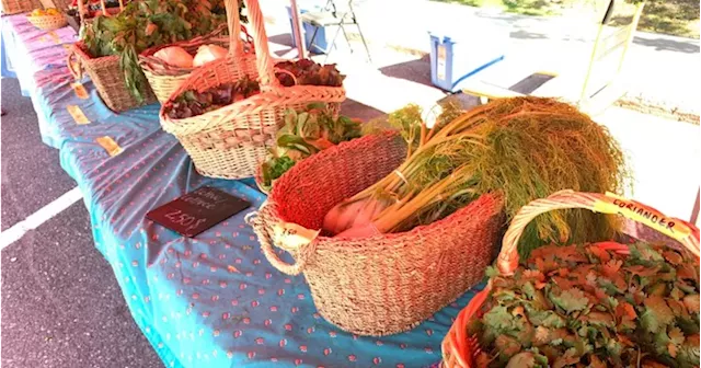 Fresh fruits and veggies can be expensive. How a pop-up market aims to fix that