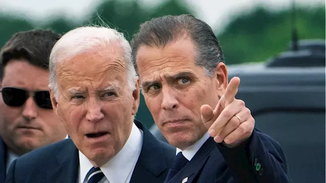 Hunter Biden asked State Department for help with Ukrainian company: report