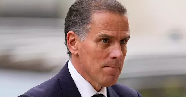 Hunter Biden made a 'proper request' to State Department about Ukrainian company, lawyer says