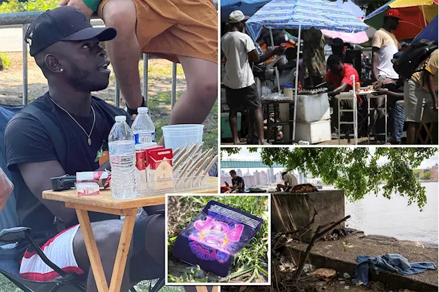 Filthy migrant encampment -- including illicit open-air market hawking drugs -- sprouts up on Randall's Island: 'It's a calamity'