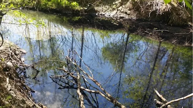 Mississauga company fined $100K for diesel fuel spill in creek