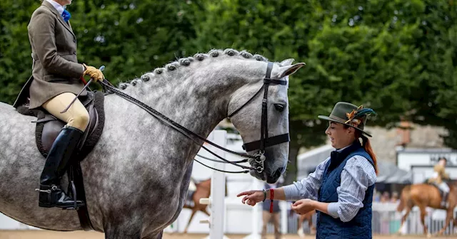 ‘It’s our Oscars week’: Horse trading and reminiscing as industry gathers for Dublin Horse Show’s biggest day