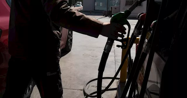 Ireland will have highest diesel taxes in EU after Budget 2025, says industry group