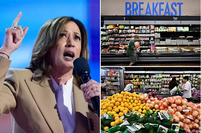 Food industry fires back at Kamala Harris' price control plans to combat soaring grocery prices