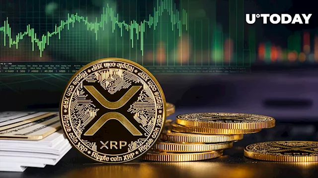 XRP Stuns Crypto Market with Massive Gains