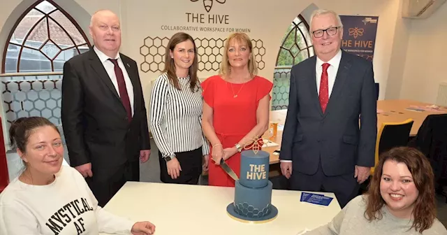 Business incubator The HIVE delivering service to help women start up new firms