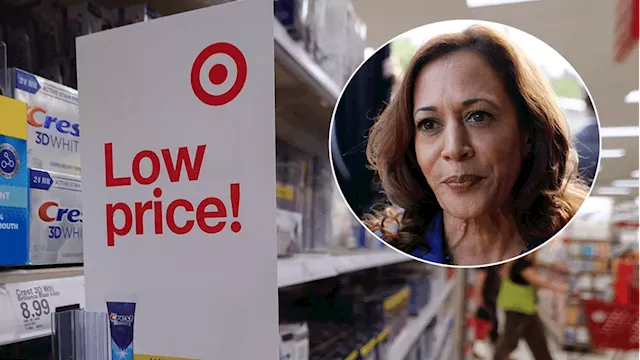 Target CEO rejects claim big retailers are price gouging: 'We're in a penny business'