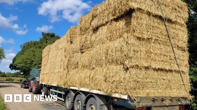 Market Deeping: Teen tractor driver summoned to court