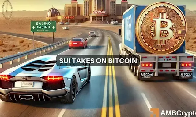 How SUI flipped Bitcoin, Toncoin to potentially tap into THIS $113B market