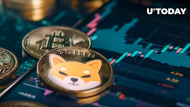 Shiba Inu Executive Makes Stunning Bitcoin Market Prediction