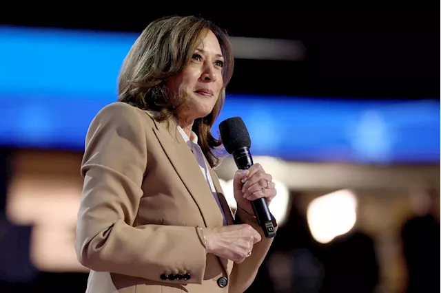 How Democrats are pitching Harris as good for business (despite some unpopular ideas)