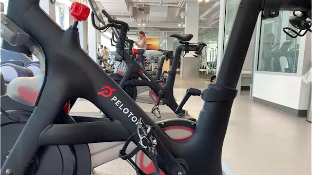 Peloton narrows losses, stock jumps: What the company needs