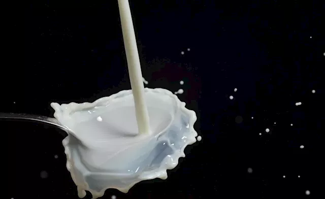 Is Nigeria's Dairy Industry Being Drowned By Inferior EU Imports?