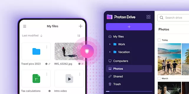 Proton Drive now has a tier for business users