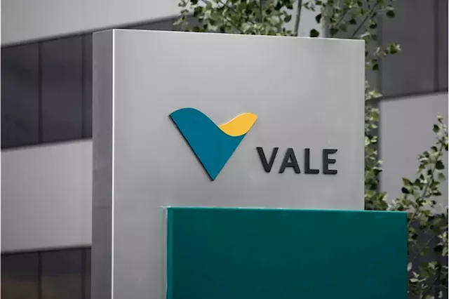 Miner Vale's chairman says board prioritized CEO choice to avoid market noises