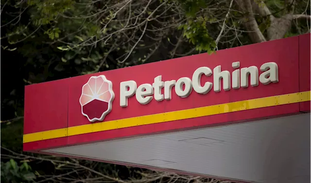 PetroChina posts record earnings for first half of the year