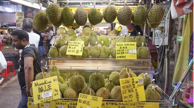 Malaysia starts ‘luxury’ durian exports to China as Indonesia sniffs the market