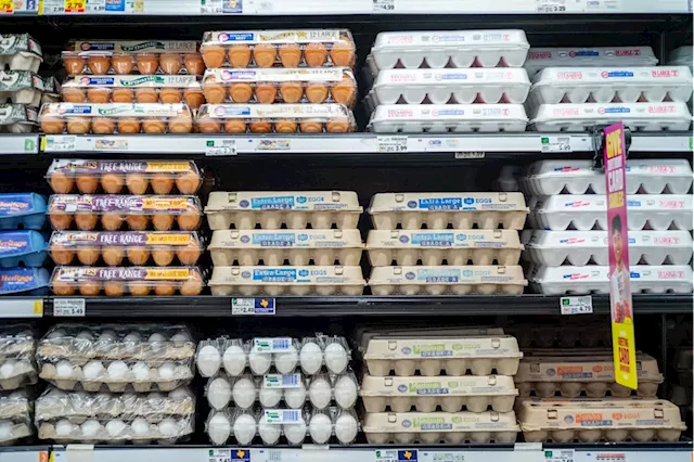 Kroger egg pricing turns merger trial into inflation fight