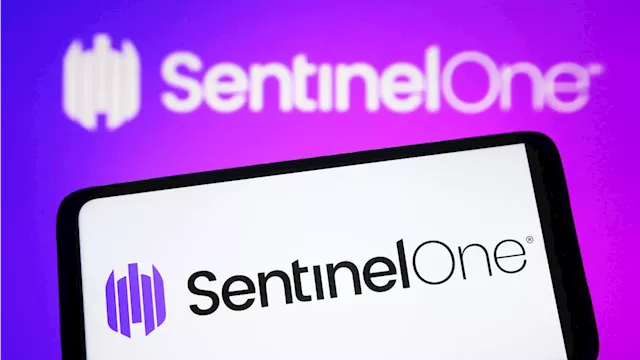 SentinelOne will be a 'show-me' story as it seeks market share