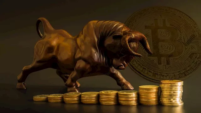 Bitcoin spikes to $61k, markets rally as investors turn bullish following Nvidia earnings