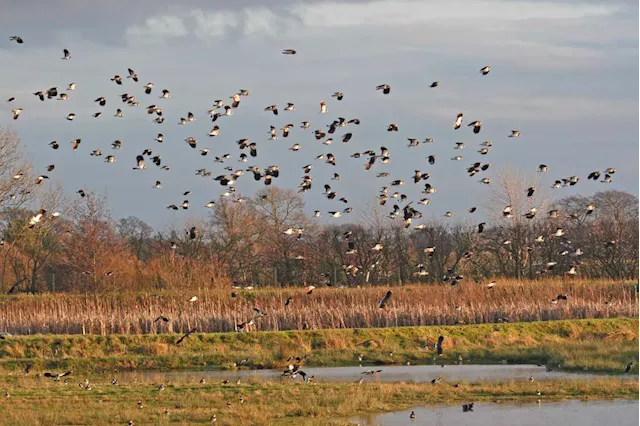 Telford company makes financial contribution to wildlife trust for failing packaging regulations