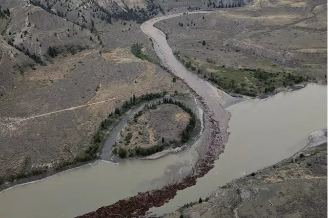 Taskforce ready for 'emergency enhancement' of salmon stocks after B.C. landslide