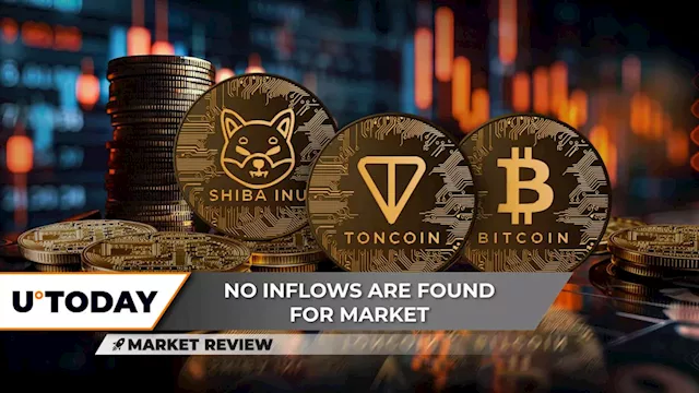 Shiba Inu (SHIB) in Danger, Toncoin (TON) Recovery Halted: What's Next? Bitcoin (BTC) 'Chop Market' Causes Some Trouble