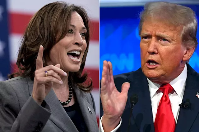 Trump brands stock market tumble as 'the Kamala Crash'