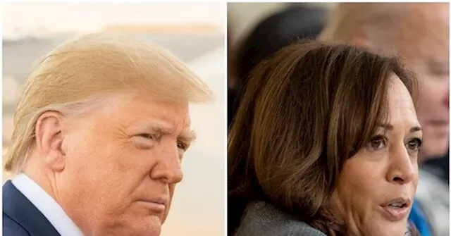 Poll: Donald Trump, Kamala Harris in Dead Heat in Pennsylvania Before Market Crash