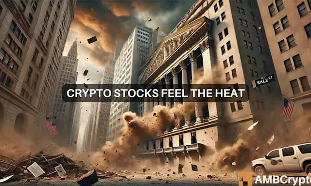 Crypto stocks log double-digit losses as market crash intensifies