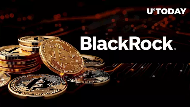 BlackRock Did Not Sell During Crypto Market Crash: Details