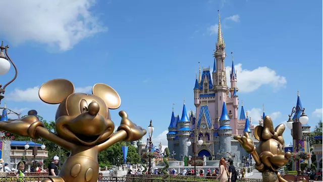 Disney earnings 'a mixed bag' on streaming, parks: Analyst