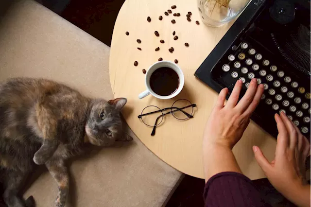 When a writer’s muse mews, it’s time to get down to business