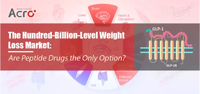 Are peptide drugs the only answer to the hundred-billion-level weight loss market?