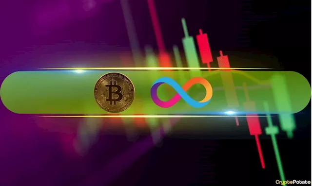 ICP Skyrockets by Double Digits, BTC Price Stopped at $58K (Market Watch)